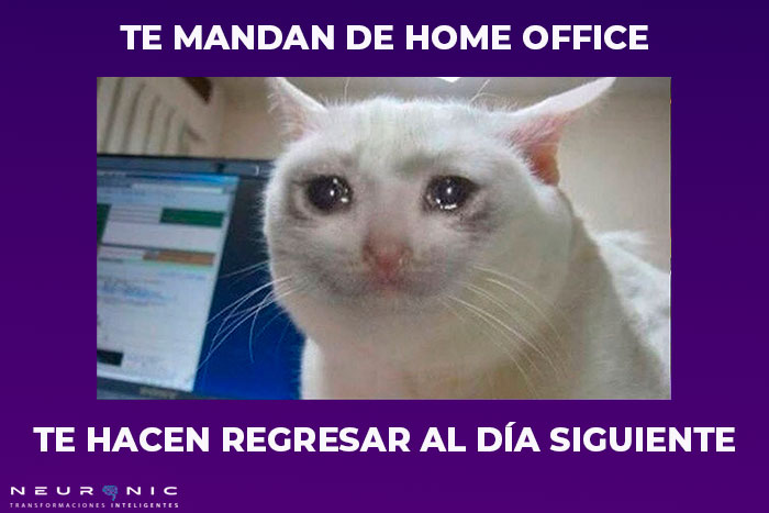 home office meme